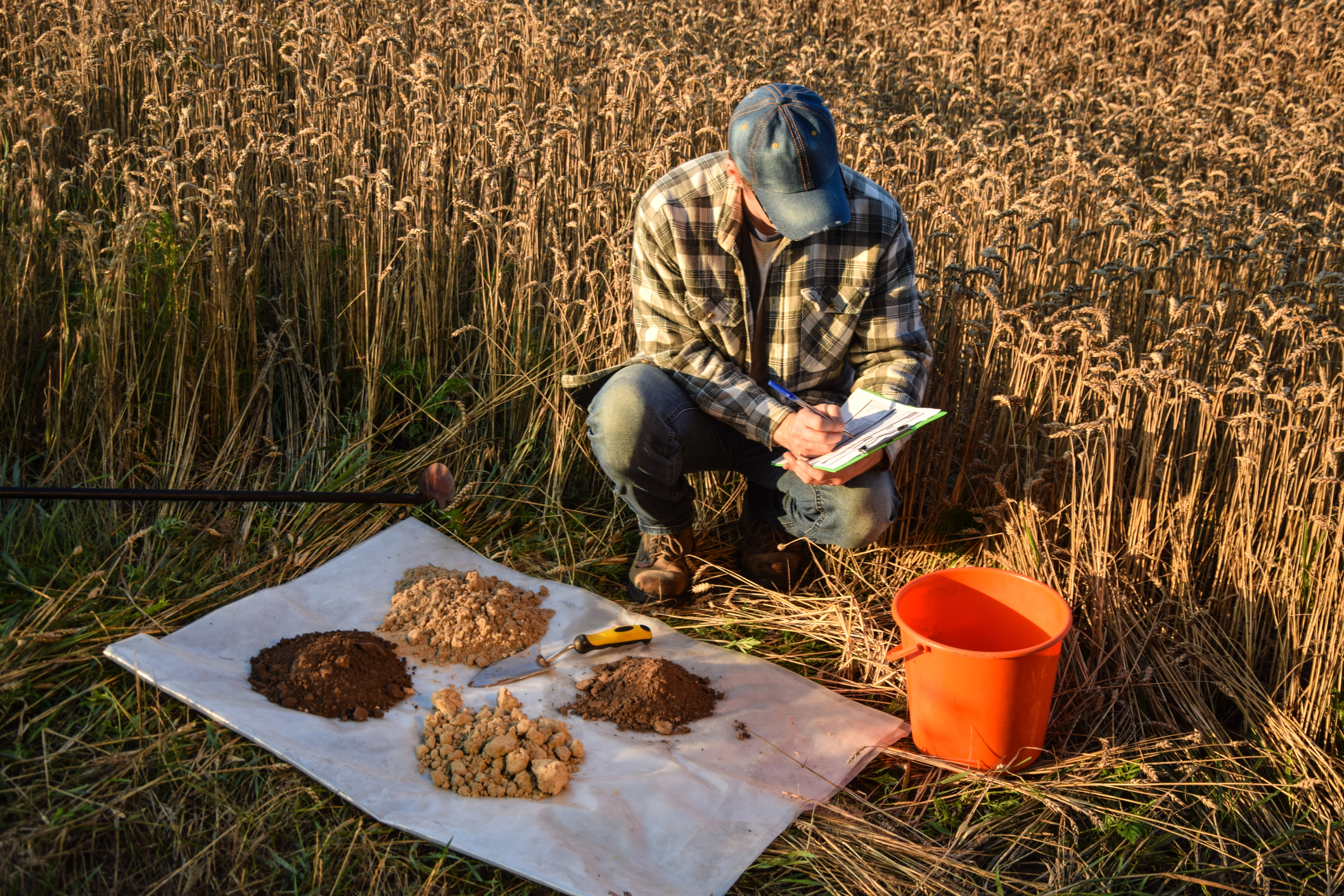 Person taking soil samples in a field.